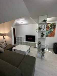 Read more about the article Apartament cu 3 camere de vanzare in Cluj Napoca
